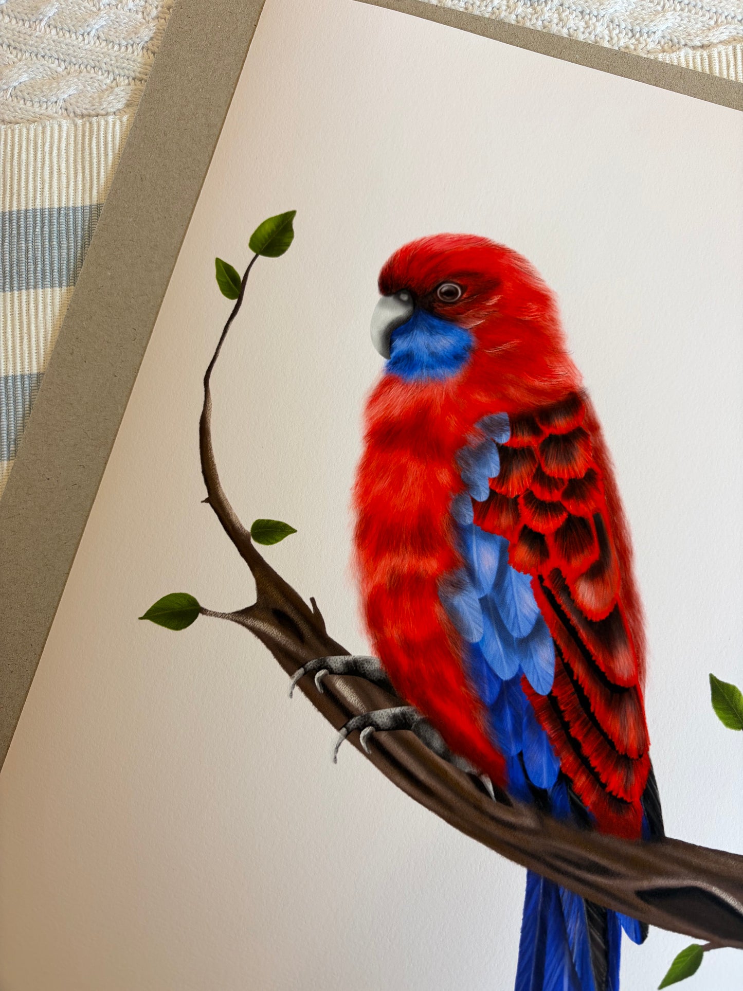 Crimson Rosella Print