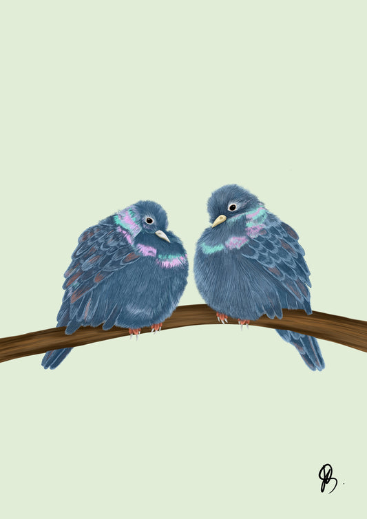 Pigeons Print