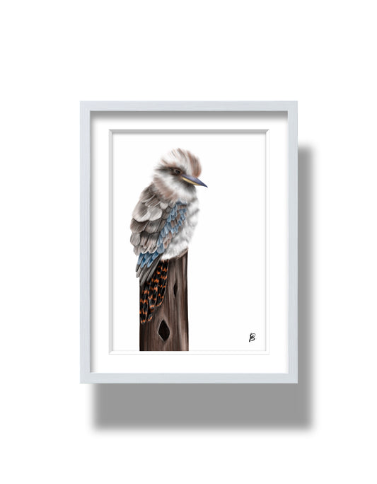 Kookaburra Print
