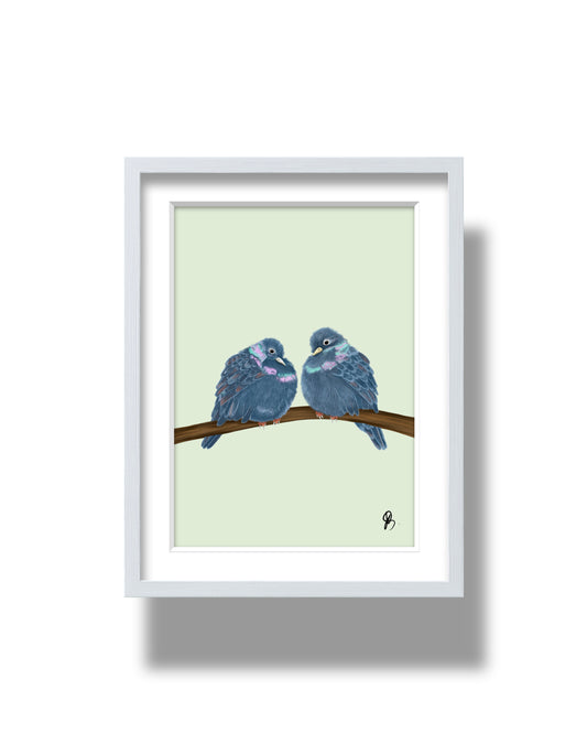Pigeons Print