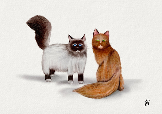 Marshall and Bella Print